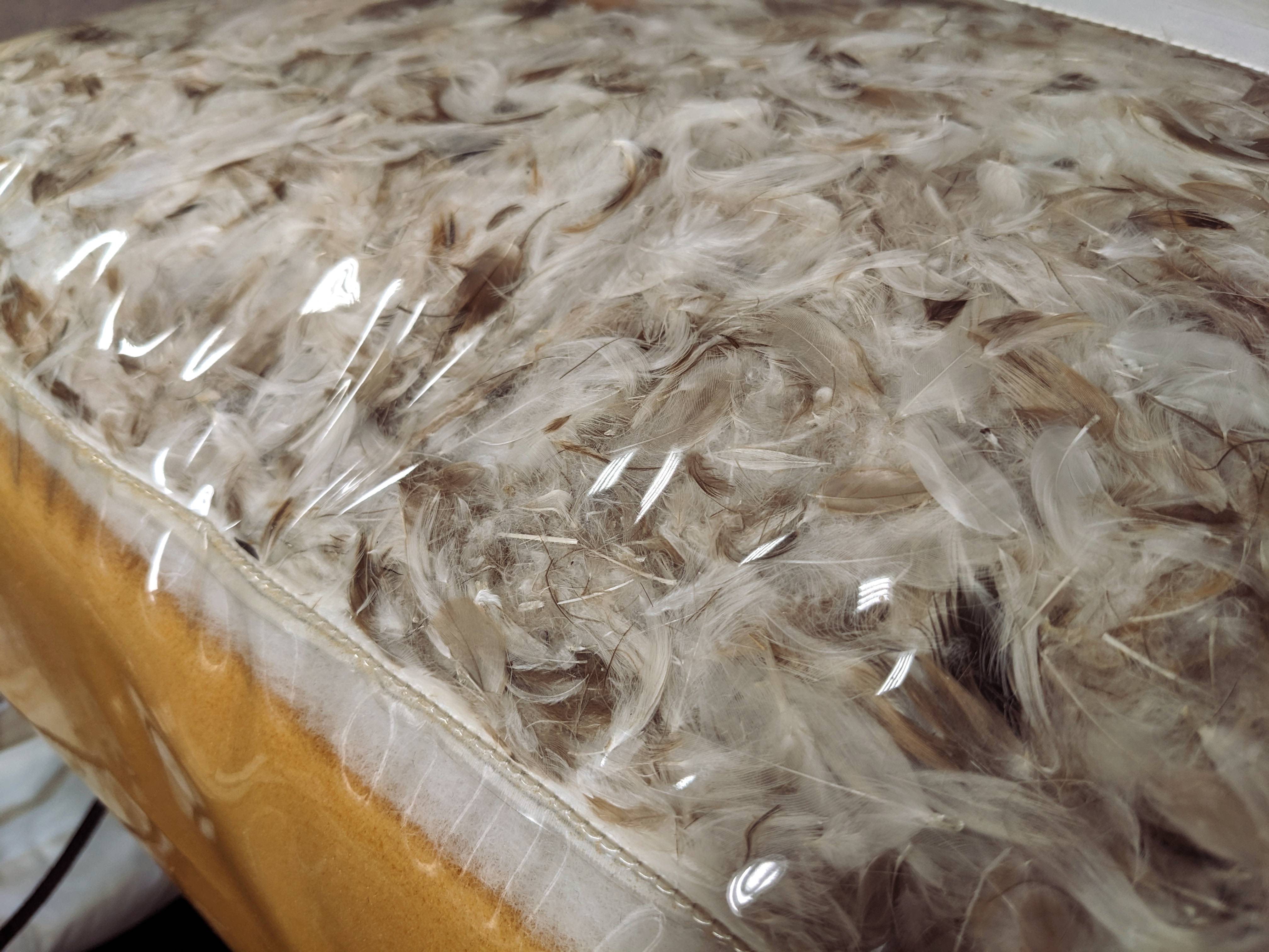 Goose down feathers inside a clear down-proof liner forming a cushion insert, photographed at an upholstery workshop